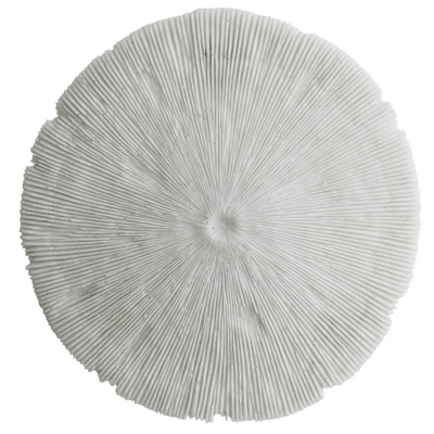 Sandstone Coral wall decorations