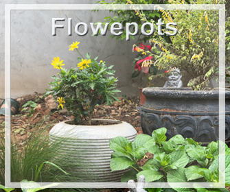 Vasi di fiori